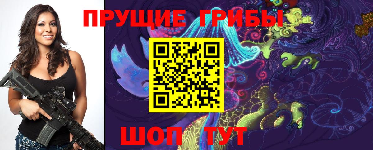 Канаш  Галлюциногенные грибы мухоморы  Вход с VPN 